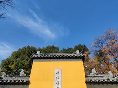 -鸡鸣赐茶(鸡鸣寺路店)