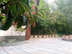 -成都市活水公园