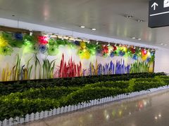 -杭州萧山国际机场