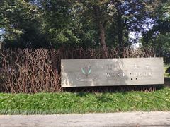 -西溪国家湿地公园-西溪天堂正门停车场