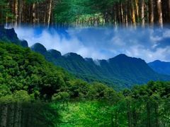 -光雾山旅游景区