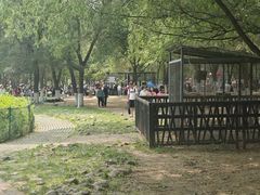 -长白岛森林公园