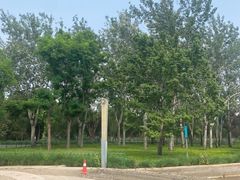 -泰丰公园