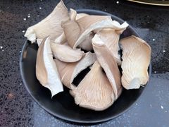 平菇-渝宗老灶火锅(巴国城店)