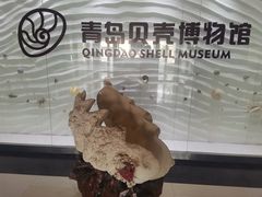 -青岛贝壳博物馆