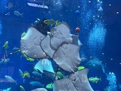 -成都浩海立方海洋公园