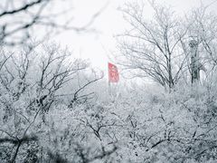 -香山公园