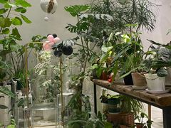 -花十悦·鲜花咖啡餐厅(振业城一期店)