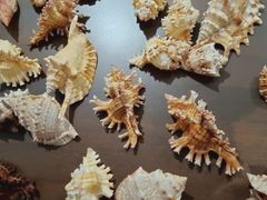 -中国湿地博物馆