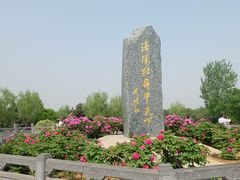 -洛阳市隋唐城遗址植物园