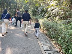 -广州市帽峰山景区