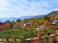 -塔川景区
