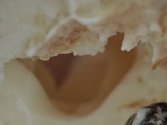 -肯德基(东直门来福士店)