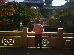 -顺德了能馆(虎门店)