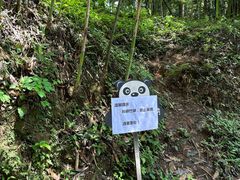 -中国大熊猫保护研究中心雅安碧峰峡基地