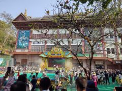 -西双版纳原始森林公园