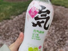 -上海辰山植物园