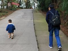 -重庆雨台山风景区