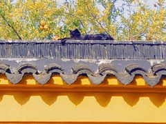 -西园戒幢律寺