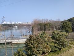 -昆山城市生态森林公园