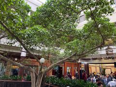 -广州酒家(文昌总店)