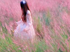 -艾溪湖湿地公园