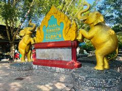 -西双版纳傣族园