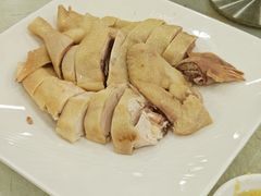 湛江白切鸡-姚林轩