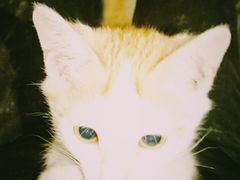 -WATER CAFE(广厦店)