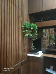 -红人馆造型世爵国际