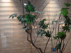 -一轩饺子馆(丽都店)