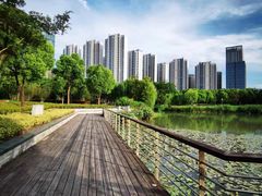 -南翔镇银翔湖公园