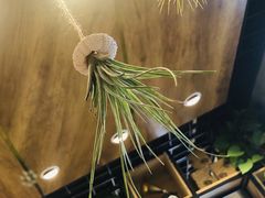 -ZING COFFEE 镜咖啡