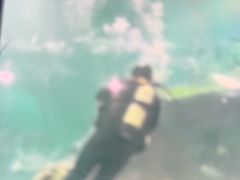 -嘉兴海底世界