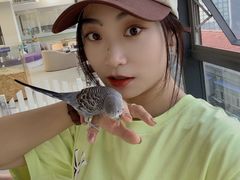 -怪兽屋·羊驼·猫咖·狗咖(俊华广场店)