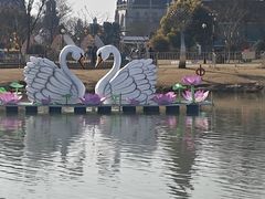 -荷兰花海