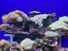 -江和美海洋公园