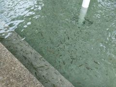 -金穗园温泉酒店