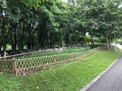 -白塘生态植物园