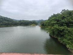 -佛山市三水区大南山森林公园