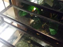 -派斯俊·本味(解放南路店)