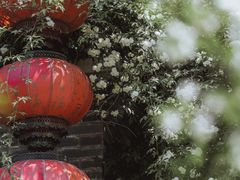-芥子园