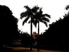 -厦门大学(思明校区)