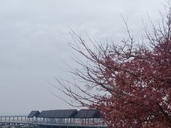 -滆湖低碳生态公园
