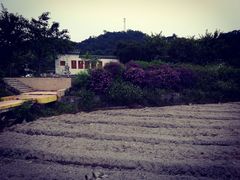 -红山村