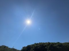 -广州白江湖森林公园