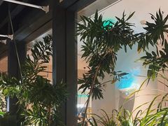 -gaga(深圳南山益田假日广场店)