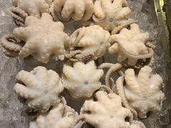 章鱼-铭聚章鱼土笋冻(松柏店)