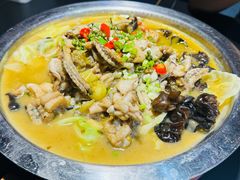 藤椒牛蛙-美蛙四季(黄寺大街店)