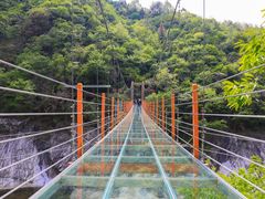 -燕子河大峡谷天坑仙境